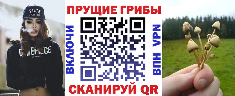 Галлюциногенные грибы Magic Shrooms сайты даркнета формула Щёкино